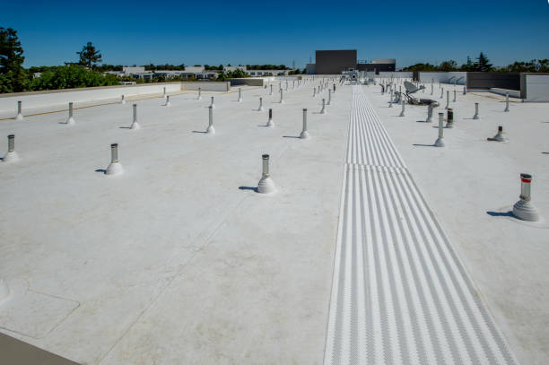 Best Asphalt Shingles Roofing  in St Georges, DE